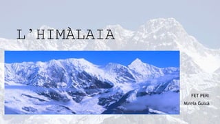 Himalaya – La Lainière de Wazemmes