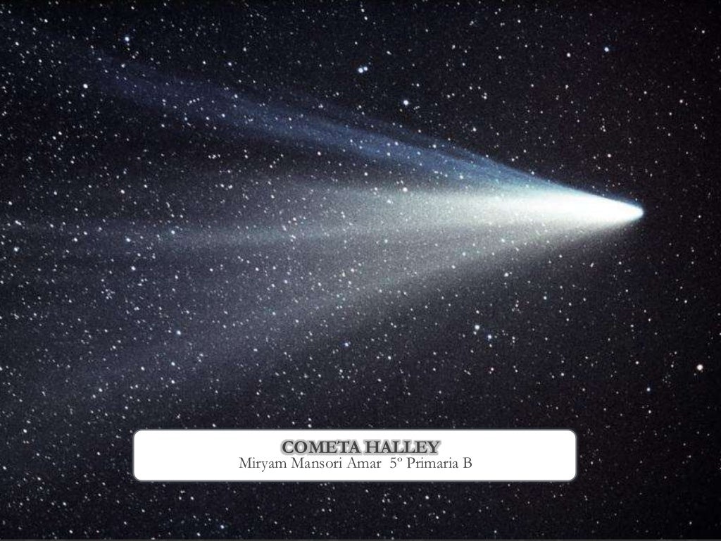 Cometa Halley Cometa Halley
