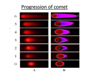 Progression of comet
 