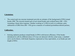 Calculation:
• The control gels (no enzyme treatment) provide an estimate of the background of DNA strand
breaks (SB). The enzyme-treated gels reveal strand breaks and oxidised bases (SB + OX).
Assuming a linear dose response, whether working in % DNA in tail or in arbitrary units,
subtraction of (SB) from (SB + OX) gives a measure of oxidised pyrimidines/altered purines.
Calibration :
• Ionising radiation produces strand breaks in DNA with known efficiency. If the breaks
introduced in cells by different doses of X-rays are detected with the comet assay, a standard
curve can be drawn, with break frequency expressed as Gray-equivalents, or as breaks per unit
length of DNA
 