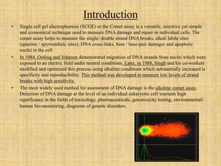 Introduction
• Single cell gel electrophoresis (SCGE) or the Comet assay is a versatile, sensitive yet simple
and economical technique used to measure DNA damage and repair in individual cells. The
comet assay helps to measure the single/ double strand DNA breaks, alkali labile sites
(apurinic / apyrimidinic sites), DNA cross-links, base / base-pair damages and apoptotic
nuclei in the cell
• In 1984, Ostling and Johnson demonstrated migration of DNA strands from nuclei which were
exposed to an electric field under neutral conditions. Later, in 1988, Singh and his co-workers
modified and optimized this process using alkaline conditions which substantially increased is
specificity and reproducibility. This method was developed to measure low levels of strand
breaks with high sensitivity.
• The most widely used method for assessment of DNA damage is the alkaline comet assay.
Detection of DNA damage at the level of an individual eukaryotic cell warrants high
significance in the fields of toxicology, pharmaceuticals, genotoxicity testing, environmental/
human bio-monitoring, diagnosis of genetic disorders.
 