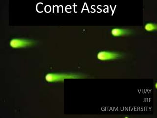 Comet Assay
VIJAY
JRF
GITAM UNIVERSITY
 