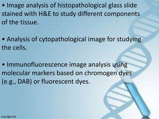 • Image analysis of histopathological glass slide
stained with H&E to study different components
of the tissue.
• Analysis of cytopathological image for studying
the cells.
• Immunofluorescence image analysis using
molecular markers based on chromogen dyes
(e.g., DAB) or fluorescent dyes.
 
