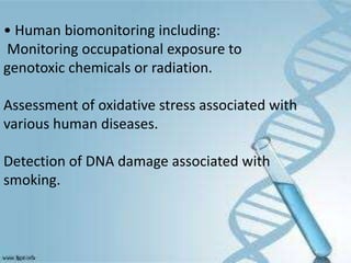 • Human biomonitoring including:
Monitoring occupational exposure to
genotoxic chemicals or radiation.
Assessment of oxidative stress associated with
various human diseases.
Detection of DNA damage associated with
smoking.
 