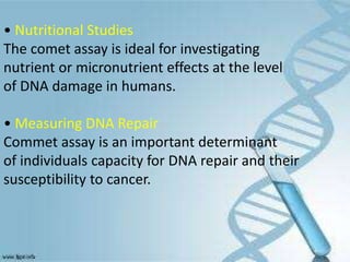 • Nutritional Studies
The comet assay is ideal for investigating
nutrient or micronutrient effects at the level
of DNA damage in humans.
• Measuring DNA Repair
Commet assay is an important determinant
of individuals capacity for DNA repair and their
susceptibility to cancer.
 
