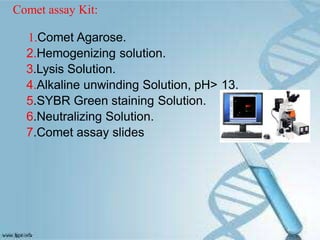 Comet assay Kit:
1.Comet Agarose.
2.Hemogenizing solution.
3.Lysis Solution.
4.Alkaline unwinding Solution, pH> 13.
5.SYBR Green staining Solution.
6.Neutralizing Solution.
7.Comet assay slides
 