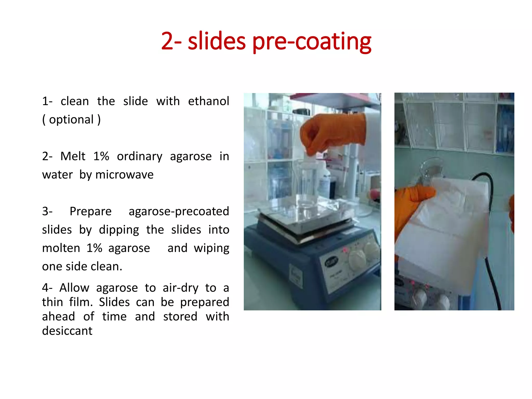 2- slides pre-coating
1- clean the slide with ethanol
( optional )
2- Melt 1% ordinary agarose in
water by microwave
3- Prepare agarose-precoated
slides by dipping the slides into
molten 1% agarose and wiping
one side clean.
4- Allow agarose to air-dry to a
thin film. Slides can be prepared
ahead of time and stored with
desiccant
 
