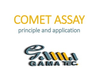 COMET ASSAY
principle and application
 
