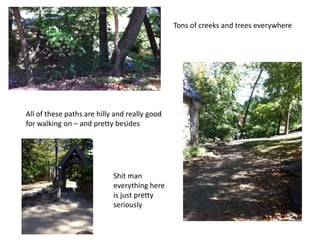 Tons of creeks and trees everywhere
All of these paths are hilly and really good
for walking on – and pretty besides
Shit man
everything here
is just pretty
seriously
 