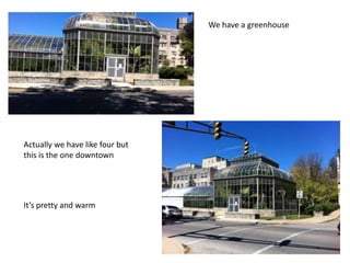 We have a greenhouse
Actually we have like four but
this is the one downtown
It’s pretty and warm
 