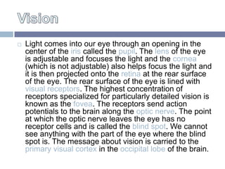 Light comes into our eye through an opening in the

    center of the iris called the pupil. The lens of the eye
    is a...