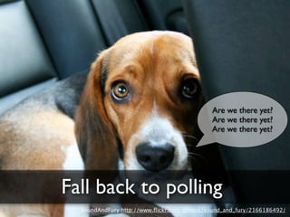 Comet at the Highland Fling