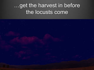 …get the harvest in before
the locusts come

 