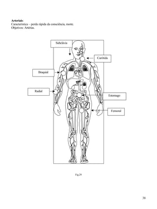 38
Carótida
Subclávia
Braquial
Radial
Femoral
Estomago
Arteriais:
Característica – perda rápida da consciência, morte.
Objetivos: Artérias.
Fig.29
 