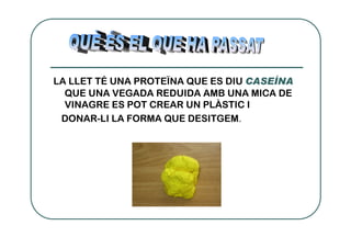 LA LLET TÉ UNA PROTEÏNA QUE ES DIU CASEÍNA
  QUE UNA VEGADA REDUIDA AMB UNA MICA DE
  VINAGRE ES POT CREAR UN PLÀSTIC I
 DONAR-LI LA FORMA QUE DESITGEM.
 