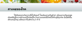 สาเหตุของโรค
ไข้เลือดออกเกิดจากเชื้อไวรัสเดงกี่ โดยมียุงลายเป็ นตัวนา เมื่อยุงลายกัดและดูด
เลือดที่มีเชื้อจากผู้ป่วยแล้วไปกัดผู้ใด ก็จะถ่ายทอดเชื้อโรคนี้ให้กับผู้ที่ถูกกัด เป็ นได้ทั้งใน
เด็กและผู้ใหญ่ แต่พบมากในเด็กอายุ 5-9 ปี
 