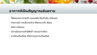 อาการที่เป็ นสัญญาณอันตราย
 ไข้ลดลงอย่างรวดเร็ว อ่อนเพลีย มือเท้าเย็น เหงื่อออก
 กระหายน้า กระสับกระส่าย ชีพจรเบาเร็ว ซึมลง
 ปัสสาวะน้อยลง
 ปลายมือปลายเท้ามีสีคล้า รอบๆปากเขียว
 อาเจียนเป็ นเลือด หรือถ่ายอุจจาระเป็ นเลือด
 