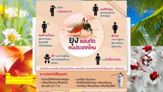 ที่มา
https://health.kapook
.com/view2522.html
 