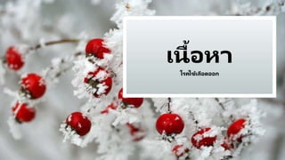 เนื้อหา
โรคไข้เลือดออก
 