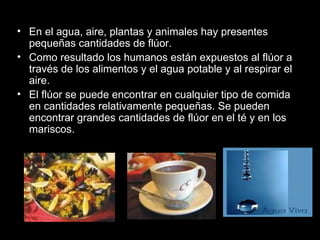 En el agua, aire, plantas y animales hay presentes pequeñas cantidades de flúor.  Como resultado los humanos están expuestos al flúor a través de los alimentos y el agua potable y al respirar el aire.  El flúor se puede encontrar en cualquier tipo de comida en cantidades relativamente pequeñas. Se pueden encontrar grandes cantidades de flúor en el té y en los mariscos.  