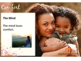 The Mind
The mind loves
comfort.

 