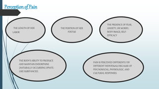 Perception of Pain
THE LENGTH OF HER
LABOR
THE POSITION OF HER
FOETUS
THE PRESENCE OF FEAR,
ANXIETY, OR WORRY;
BODY IMAGE; SELF-
EFFICACY
PAIN IS PERCEIVED DIFFERENTLY BY
DIFFERENT INDIVIDUALS BECAUSE OF
PSYCHOSOCIAL, PHYSIOLOGIC, AND
CULTURAL RESPONSES.
THE BODY'S ABILITY TO PRODUCE
AND MAINTAIN ENDORPHINS
(NATURALLY OCCURRING OPIATE-
LIKE SUBSTANCES).
 
