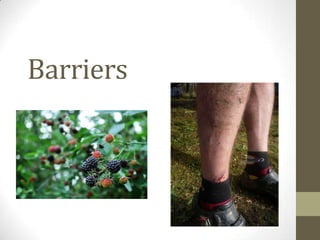 Barriers
 
