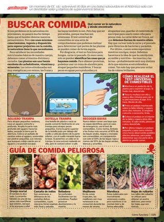 ©
Thinkstock;
CG
Textures;
Cianke
Buscar comida
GUÍA DE COMIDA PELIGROSA
Si nos perdemos en la naturaleza sin
provisiones, no pasará mucho tiempo
hasta que el hambre domine nuestros
pensamientos. Pero con unos mínimos
conocimientos, ingenio y disposición
para superar prejuicios con la comida,
la naturaleza tiene lo que necesitamos.
Para satisfacer las necesidades
nutricionales básicas de nuestro cuerpo,
debemos comer alimentos distintos y
variados. Las plantas son una fuente
excelente de carbohidratos, vitaminas y
minerales. Las raíces almidonadas son
muy energéticas y en verano, las frutas y
las bayas también lo son. Pero hay que ser
precavidos, porque muchas son
venenosas. El test universal de
comestibles es una serie de
comprobaciones que podemos realizar
para determinar qué partes de las plantas
se pueden comer de forma segura.
Por desgracia, el test no funciona para
hongos, carne ni pescado. En esos casos,
solo se pueden identificarlascosasqueya
hayamoscomido. Para obtener proteínas,
podemos usar un trozo de alambre para
atrapar pequeños mamíferos. Y buscar
peces en aguas poco profundas y si
atrapamos uno, guardar el contenido de
sus tripas para usarlo como cebo para
pescar más. La carne debe ser fresca, así
que debemos fiarnos de nuestro olfato.
Hay que cocinar toda la carne y el pescado
para librarnos de bacterias y parásitos.
Por último, cuanto antes superemos
nuestros remilgos, mejor. Debemos
hacernos a la idea de que la comida más
accesible y nutritiva – los insectos y las
larvas – probablemente será muy distinta
de lo que estamos acostumbrados a
comer. Tan solo hay que procurar evitar
los de colores brillantes.
Qué comer en la naturaleza
y dónde encontrarlo
AGUJERO TRAMPA
Para atrapar pequeños roedores,
cava un agujero estrecho y
profundo. Amplía la parte más
profunda del agujero hacia los
lados, sacando la tierra por la
abertura. Coloca un puñado de
ramitas sobre el agujero, sostenidas
por piedras pequeñas. Los ratones
que busquen cobijo caerán por el
agujero y no podrán escapar.
BOTELLA TRAMPA
Una botella de plástico vacía se
puede convertir fácilmente en una
trampa para atrapar peces
pequeños. Corta la parte superior
de la botella justo por debajo del
cuello y colócala dentro de la parte
inferior, con el cuello mirando hacia
la base. Si ponemos un cebo en la
trampa, la cena entrará nadando en
ella, pero le costará volver a salir.
RECOGER BAYAS
Nunca debes comer una baya que
no sepas identificar, pero en caso
de emergencia, usa el test de
comestibles. Como norma, limítate
a los frutos más oscuros: el 90% de
las bayas azules, negras y moradas
son comestibles, en comparación
con solo el 50% de las bayas rojas y
menos del 10% de las bayas verdes,
blancas y amarillas.
Cómo realizar el
test universal
de comestibles
n Machaca un pedacito de la
planta para exprimir el jugo. Si
huele mal, descártala.
n Toca tu muñeca con ella y
espera diez minutos para ver si
tu piel reacciona al jugo. Si lo
hace, líbrate de ella.
n Frota un pedazo machacado
sobre tu labio inferior y espera
otros diez minutos. Si empieza
a picarte o escocerte, tírala.
n Coloca el pedazo en el interior
de tu labio y espera otros diez
minutos. Si sabe ácido, jabonoso
o pica, descártala.
n Por último trágate un pedazo
pequeño y pasa como mínimo
cinco horas observando posibles
efectos adversos, para poder
determinar que esa parte de la
planta se puede comer.
Oronja mortal
El nombre lo dice
todo. La amanita
faloides es una de las
setas más mortíferas
que existen, ¡así que
ni te acerques a ella!
Castaña de indias
Son venenosas, a
diferencia de las
castañas dulces
comestibles, cuyas
cáscaras tienen espinas
más finas y peludas.
Belladona
Se confunden
fácilmente con los
arándanos. Pueden
provocar
alucinaciones y la
muerte.
Mejillones
En las zonas
tropicales, los
mejillones son muy
venenosos si se
consumen durante los
meses de verano.
Mandioca
Estos tubérculos son
mortalmente
venenosos crudos,
pero nutritivos si se
cocinan bien y de
forma adecuada.
Hojas de ruibarbo
Los tallos del ruibarbo
se utilizan para
obtener un postre
delicioso, pero evita
las hojas, que son
tóxicas.
Un marinero de EE. UU. sobrevivió 76 días en una balsa salvavidas en el Atlántico solo con
un destilador solar y objetos de supervivencia básicos
¿SABÍAS QUE?
Cómo funciona | 029
 