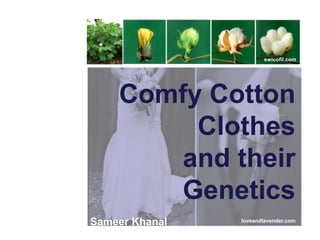 swicofil.com
Comfy Cotton
Clothes
and their
Genetics
loveandlavender.com
Sameer Khanal
 