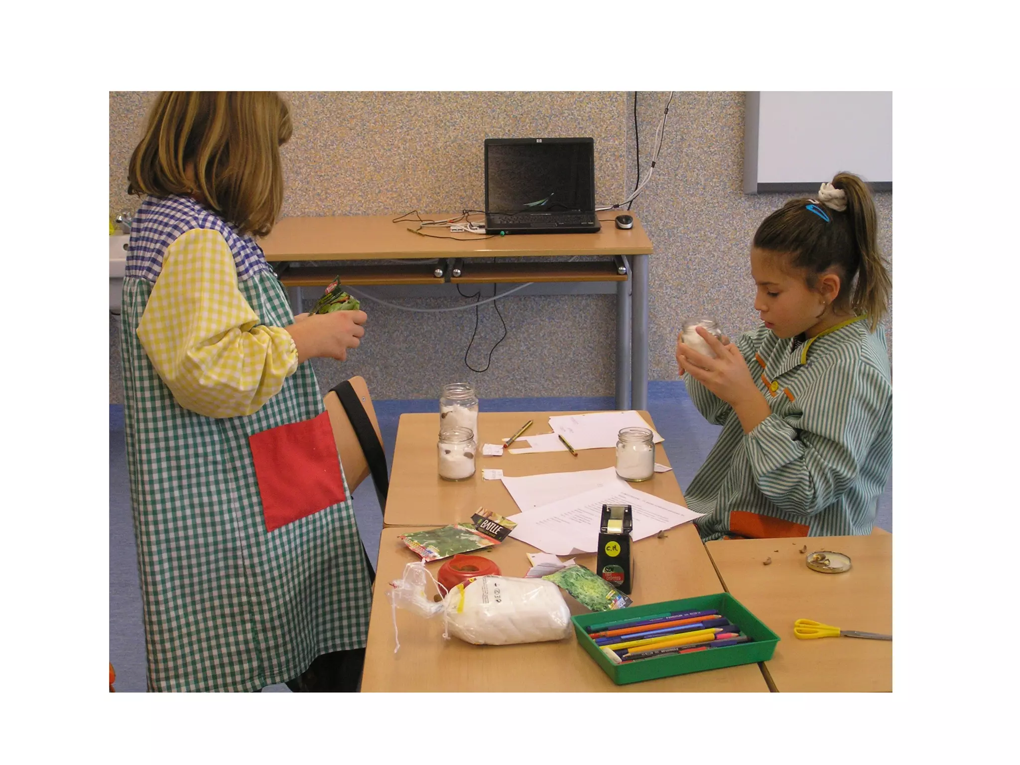 Ho farem amb llavors de diferents plantes (julivert, enciam, escarola, raves, llorer, i aglà de roure), que les posarem en pots de vidre.  