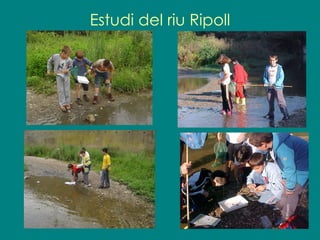 Estudi del riu Ripoll 