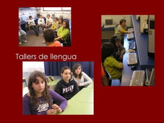Tallers de llengua 