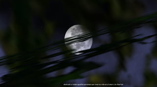 error del sistema, un comic SecondLife