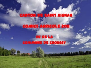 Canton de Saint AignanCOMICE Agricole 2011 Vu de la Commune de Choussy 