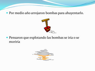 Por medio año arrojaron bombas para ahuyentarlo.




 Pensaron que explotando las bombas se iría o se
 moriría
 
