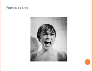PRIMER PLANO

 