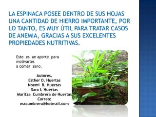 Este es un aporte para
motivarles
a comer sano.

          Autores.
      Esther D. Huertas
      Noemí B. Huertas
       Sara I. Huertas
Maritza Cumbrera de Huertas
           Correo:
 macumbrera@hotmail.com
 