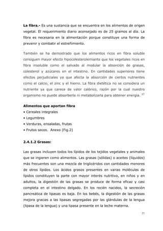 21
La fibra.- Es una sustancia que se encuentra en los alimentos de origen
vegetal. El requerimiento diario aconsejado es de 25 gramos al día. La
fibra es necesaria en la alimentación porque constituye una forma de
prevenir y combatir el estreñimiento.
También se ha demostrado que los alimentos ricos en fibra soluble
consiguen mayor efecto hipocolesterolemiante que los vegetales ricos en
fibra insoluble como el salvado al modular la absorción de grasas,
colesterol y azúcares en el intestino. En cantidades superiores tiene
efectos perjudiciales ya que afecta la absorción de ciertos nutrientes
como el calcio, el zinc y el hierro. La fibra dietética no se considera un
nutriente ya que carece de valor calórico, razón por la cual nuestro
organismo no puede absorberla ni metabolizarla para obtener energía. 17
Alimentos que aportan fibra
• Cereales integrales
• Legumbres
• Verduras, ensaladas, frutas
• Frutos secos. Anexo (Fig.2)
2.4.1.2 Grasas:
Las grasas incluyen todos los lípidos de los tejidos vegetales y animales
que se ingieren como alimentos. Las grasas (sólidas) o aceites (líquidos)
más frecuentes son una mezcla de triglicéridos con cantidades menores
de otros lípidos. Los ácidos grasos presentes en varias moléculas de
lípidos constituyen la parte con mayor interés nutritivo, en niños y en
adultos, la digestión de las grasas se produce de forma eficaz y casi
completa en el intestino delgado. En los recién nacidos, la secreción
pancreática de lipasas es baja. En los bebés, la digestión de las grasas
mejora gracias a las lipasas segregadas por las glándulas de la lengua
(lipasa de la lengua) y una lipasa presente en la leche materna.
 