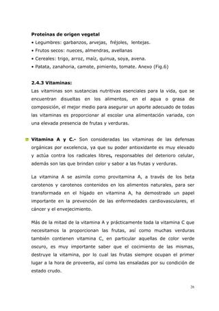 26
Proteínas de origen vegetal
• Legumbres: garbanzos, arvejas, fréjoles, lentejas.
• Frutos secos: nueces, almendras, avellanas
• Cereales: trigo, arroz, maíz, quinua, soya, avena.
• Patata, zanahoria, camote, pimiento, tomate. Anexo (Fig.6)
2.4.3 Vitaminas:
Las vitaminas son sustancias nutritivas esenciales para la vida, que se
encuentran disueltas en los alimentos, en el agua o grasa de
composición, el mejor medio para asegurar un aporte adecuado de todas
las vitaminas es proporcionar al escolar una alimentación variada, con
una elevada presencia de frutas y verduras.
Vitamina A y C.- Son consideradas las vitaminas de las defensas
orgánicas por excelencia, ya que su poder antioxidante es muy elevado
y actúa contra los radicales libres, responsables del deterioro celular,
además son las que brindan color y sabor a las frutas y verduras.
La vitamina A se asimila como provitamina A, a través de los beta
carotenos y carotenos contenidos en los alimentos naturales, para ser
transformada en el hígado en vitamina A, ha demostrado un papel
importante en la prevención de las enfermedades cardiovasculares, el
cáncer y el envejecimiento.
Más de la mitad de la vitamina A y prácticamente toda la vitamina C que
necesitamos la proporcionan las frutas, así como muchas verduras
también contienen vitamina C, en particular aquellas de color verde
oscuro, es muy importante saber que el cocimiento de las mismas,
destruye la vitamina, por lo cual las frutas siempre ocupan el primer
lugar a la hora de proveerla, así como las ensaladas por su condición de
estado crudo.
 