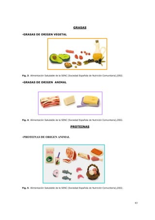 83
GRASAS
-GRASAS DE ORIGEN VEGETAL
Fig. 3- Alimentación Saludable de la SENC (Sociedad Española de Nutrición Comunitaria),2002.
-GRASAS DE ORIGEN ANIMAL
Fig. 4- Alimentación Saludable de la SENC (Sociedad Española de Nutrición Comunitaria),2002.
PROTEINAS
-PROTEINAS DE ORIGEN ANIMAL
Fig. 5- Alimentación Saludable de la SENC (Sociedad Española de Nutrición Comunitaria),2002.
 