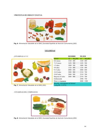 84
-PROTEINAS DE ORIGEN VEGETAL
Fig. 6- Alimentación Saludable de la SENC (Sociedad Española de Nutrición Comunitaria),2002.
VITAMINAS
-VITAMINAS A Y C
Fig. 7- Alimentación Saludable de la SENC,2002.
-VITAMINAS DEL COMPLEJO B
Fig. 8- Alimentación Saludable de la SENC (Sociedad Española de Nutrición Comunitaria),2002.
HOMBRE MUJER
EDAD UI Mcg RE UI Mcg RE
0-6 meses 1320 400 1320 400
7-12 meses 1650 500 1650 500
1-3 años 1000 300 1000 300
4-8 años 1320 400 1320 400
9-13 años 2000 600 2000 600
14-18 años 3000 900 2310 700
19-65 años 3000 900 2310 700
Mayores 65 años 3000 900 2310 700
Embarazada 2500 750
Mujer en lactancia 4000 1200
Mcg RE: microgramo de Retinol
1 mcg RE: 3.33 UI
 