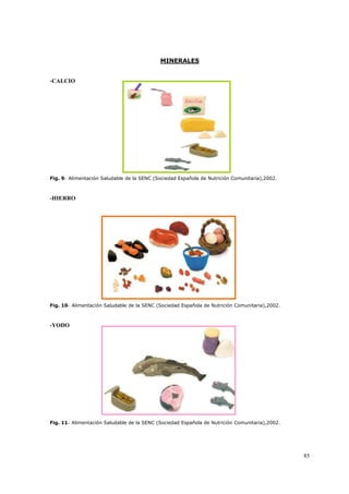 85
MINERALES
-CALCIO
Fig. 9- Alimentación Saludable de la SENC (Sociedad Española de Nutrición Comunitaria),2002.
-HIERRO
Fig. 10- Alimentación Saludable de la SENC (Sociedad Española de Nutrición Comunitaria),2002.
-YODO
Fig. 11- Alimentación Saludable de la SENC (Sociedad Española de Nutrición Comunitaria),2002.
 