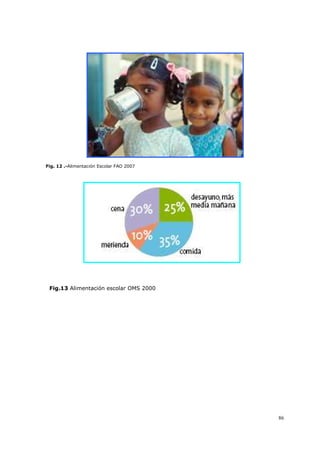 86
Fig. 12 .-Alimentación Escolar FAO 2007
Fig.13 Alimentación escolar OMS 2000
 