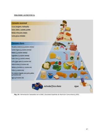 87
PIRAMIDE ALIMENTICIA
Fig. 14- Alimentación Saludable de la SENC (Sociedad Española de Nutrición Comunitaria),2002.
 