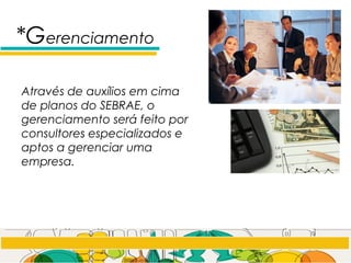 *Gerenciamento
Através de auxílios em cima
de planos do SEBRAE, o
gerenciamento será feito por
consultores especializados e
aptos a gerenciar uma
empresa.
 