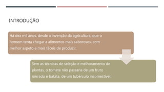 INTRODUÇÃO
Há dez mil anos, desde a invenção da agricultura, que o
homem tenta chegar a alimentos mais saborosos, com
melhor aspeto e mais fáceis de produzir.
Sem as técnicas de seleção e melhoramento de
plantas, o tomate não passaria de um fruto
mirrado e batata, de um tubérculo incomestível.
 