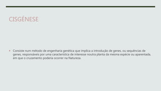 CISGÉNESE
 Consiste num método de engenharia genética que implica a introdução de genes, ou sequências de
genes, responsáveis por uma característica de interesse noutra planta da mesma espécie ou aparentada,
em que o cruzamento poderia ocorrer na Natureza.
 
