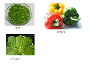 PEAS
PEPPER
SPINACH