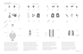 M
anzana
Frutilla
Sem
illas
H
igo
Frutilla
M
anzana
Plátano
N
aranja
Pim
entón
N
aranja
Naranja Naranja
Plátano
Plátano
Higo
Semillas
Manzana
Frutilla
Frutilla
Manzana
Pimentón
Pera
Plátano
Pera
FRU
TAS
Primera Propuesta
Extracción
de
Pulpas
Com
pactadas
con
M
elaza
Avena
Linaza
Chía
M
oler
Extracción
delJugo
H
acer
Puré
En
G
ajos
Corte
en
tiras
Cortar
D
escascarar
Vaciar/
Ahuecar
PRO
CESO
S
ESTRU
CTU
RA
Camilo Escobar
18/03/16
Tomando la idea de un interior y exterior en las
frutas, se vacía la pera sacando un cilindro medular
de alrededor de 2 cm de diámetro, generando un
espacio apto para recibir el relleno de plátano. La
plasticidad de la cáscara de una naranja permite
moldear una tapa que consituye un sellado.
Existe un error de concepto, en relación a la construc-
ción de la fruta, ya que, los elementos están vincula-
dos pero no transformados ni diseñados, entonces no
se tiene dominio sobre estos. Se debe lograr construir,
por ejemplo, la viscosidad o el color de su pulpa.
Se avanza mediante la construcción de un cuerpo
uniﬁcado y conformado. El problema está en el
aspecto visual exterior poco apetitoso y también en la
ubicación del contenido interior, que no está posicio-
nado con medida.
Se utiliza por primera vez la matricería para crear capas.
Se ha logrado uniﬁcar con una cubierta, sin embargo, la
consistencia interior no es lo suﬁcientemente ﬁrme, por lo
que se hace difícil su manipulación.
Ocurre entre los elementos un constraste de densidades,
cuya unión tiende a separarse, por lo que la sustancia
elástica que vincula debe alcanzar una densidad mínima
para que la unión sea ﬁrme.
El bocado se ha compuesto de forma estructural a
partir de tres frutas, la naranja le da un interior
jugoso y fresco, luego el pimiento conforma los
nervios que lo cruzan, ﬁnalmente unido todo en una
cubierta de plátano frito. Esta estructura le da al fruto
la rigidez necesaria para sostenerse de forma vertical.
El interior está compuesto de frutilla y manzana en
forma de pulpa exprimida. Esta logra una cierta
consistencia compacta en tres capas recubiertas con
semillas y almíbar. Para construir estas capas se ha
trabajado con una matricería básica, que permite
armar el bocado en dos partes.
Se ha adaptado la propuesta anterior al concepto de
exponer el interior del bocado y hacer visible su
estructura. Esto nos lleva a usar un elemento
traslúcido, la jalea. Se construye entonces una capa
exterior compacta que la contiene y se añade un
nervio interno que queda suspendido en el interior.
Segunda Propuesta Tercera Propuesta Cuarta Propuesta
PLANTEAMIENTO
Desarrollo Visual
 