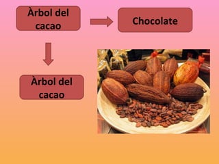 Àrbol del
 cacao      Chocolate




Àrbol del
 cacao
 
